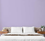 EVOLVE Paint & Primer: Environment-friendly, Low Sheen with One-coat Coverage for Interior & Exterior surfaces (Soft Violet, 1-Gallon)