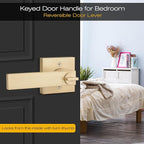 EHOMEWARE 6 Pack Modern Gold Door Handles, Entry Door Levers with Keys, Lever Door Handle with Modern Contemporary Design for Home Bedroom or Bathroom Interior or Front Exterior Doors