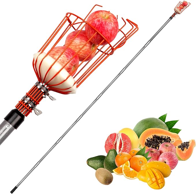Walensee 23FT Fruit Picker, Adjustable Fruits Picker Tool with Fiberglass Pole, Big Basket and Storage Bag, Fruit Catcher Equipment Tree Picker for Lemons Apples Mango Orange Avocados Fruit Picking