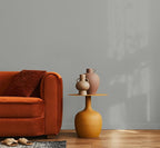 EVOLVE Paint & Primer: Environment-friendly, Low Sheen with One-coat Coverage for Interior & Exterior surfaces (Graphite Gray, 1-Gallon)