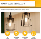 Hizashi Vintage Led Edison Bulbs Dimmable, 6W Equivalent 60W, E26 Base Light Bulbs, 700LM, 3000k Soft White, UL Listed, High CRI 95+ Eye Protection, Clear Glass, Pack of 24