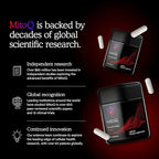 MitoQ Pure Mitochondria-targeted Antioxidant Supplement | Reducing Free Radical Damage & Oxidative Stress | Supports Cellular Longevity, Metabolic Health, Healthier Aging, and Energy (180 Capsules)