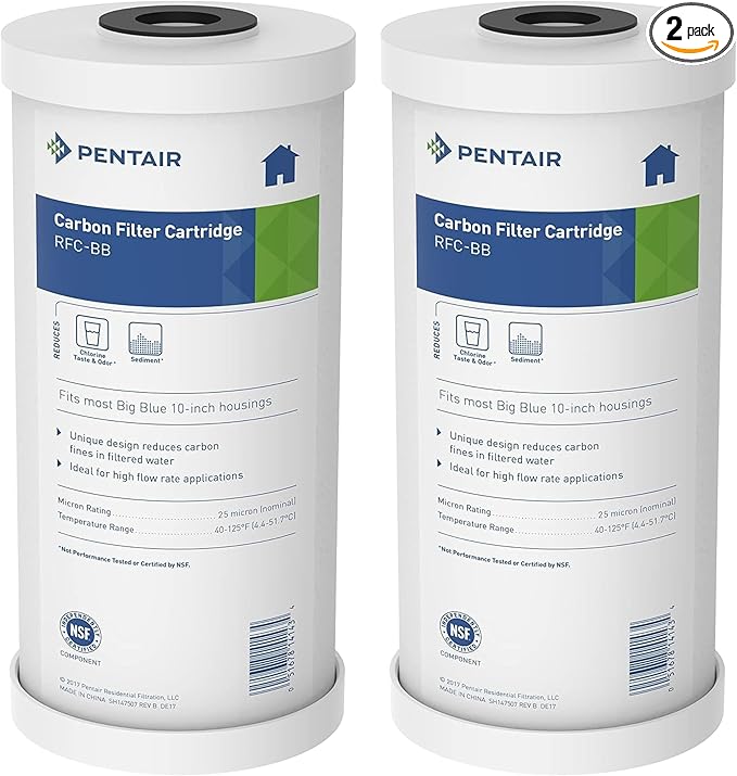 Pentair Pentek RFC-BB Big Blue Carbon Water Filter, 10-Inch, Whole House Heavy Duty Radial Flow Carbon Replacement Cartridge with Granular Activated (GAC), 10" x 4.5", 25 Micron, Pack of 2