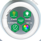 Circular Bulb FC8T9/DL, 8 Inch T9 22W Circline Fluorescent Light Bulbs, Replacement Round Fluorescent Lamp Tube, Bright Daylight 6400K 1250 Lumens, G10q 4 Pin Base, 2 Pack