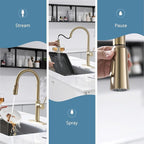 Kitchen Sink Faucets Brushed Gold, High-Arc Single Handle Kitchen Faucet with Pull Down Sprayer, Solid Brass Tall Kitchen Faucets