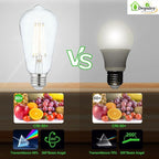 Depuley LED Light Bulbs E26: 12-Pack Chandeleir Lights Bulb 6W Equivalent 60W - Edison Vintage Bulbs Daylight 5000K ST58 Clear Glass Bulb 800LM 80+CRI Non-Dimmable