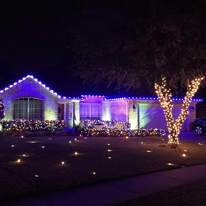 C7 Replacement Light Bulbs, 25 Pack Transparent Blubs for Outdoor String Lights, Multicolor, E12 Candelabra Vintage Christmas Bulbs