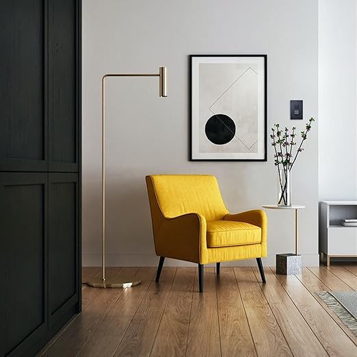 Legrand radiant TM870GCC10 15 Amp Rocker Wall Switch, Single Pole Decorator Light Switches, Graphite (1 Count)