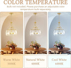 Industrial Round Chandelier Rustic Ceiling Light Fixture 3-Light Farmhouse Pendant Light with Seeded Glass Shade for Dining Room Hallway Entryway Kitchen Bedroom, Gold