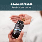 Probiotics by Ancient Nutrition, SBO Probiotics Ultimate 50 Billion CFUs*/Serving, Digestive and Immune Support, Gluten Free, Ancient Superfoods Blend, 60 Capsules