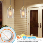 Ralbay ST48 Vintage LED Edison Bulbs 10 Pack, 60W Equivalent, Warm White 2700K, Clear Glass E26 Medium Base