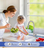 Brushed Nickel Kitchen Faucet with Pull Down Sprayer- 1.8GPM High Arc Single Handle Stainless Steel Rv Sink Faucet for Farm Laundry, Fit for 1/3 Hole with 10" Deck Plate