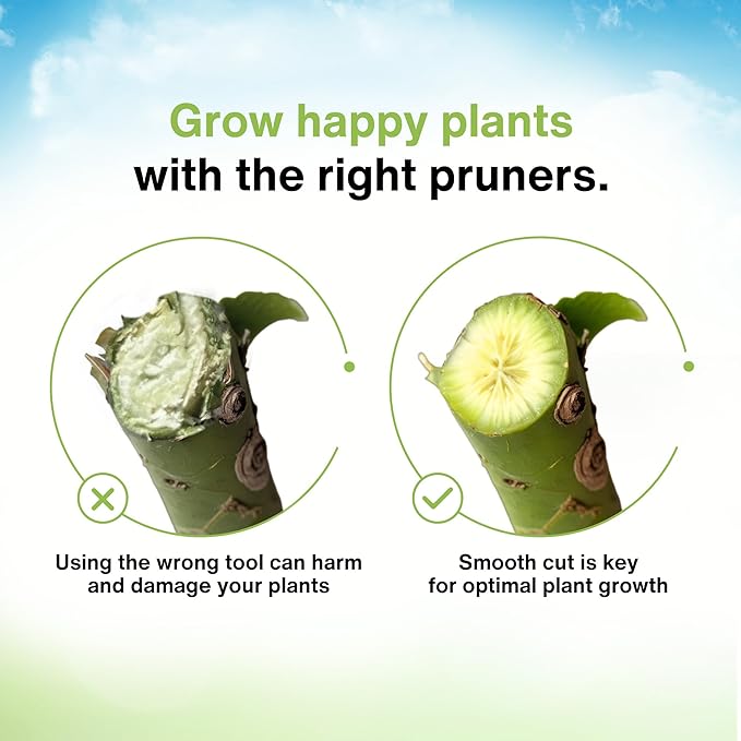 Professional Hand Pruners (Small/Medium) - Ergonomic Non-Slip Garden Shears, Heavy Duty Handheld Plant Trimmer, High Carbon Steel Blades Flower Cutter, Pruning Shears for Gardening and Harvesting