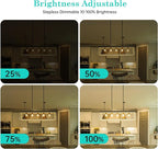 AMDTU Vintage E26 LED Edison Bulb 40W Small Globe 2700K Soft White Frosted Dimmable 40 Watt Warm G45 Medium Standard Base Bulbs Ideal for Home Lighting Fixtures Create Cozy Ambiance in Bedrooms