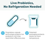 Klaire Labs Ther-Biotic Synbiotic Probiotic & a Prebiotic - Digestive Health & Immune Support∗ - Lactobacillus & Bifidobacterium Strains - Low-FODMAP Probiotic Supplement for Men & Women (60 Capsules)