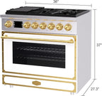 Akicon 36" Freestanding Gas Cooktop Oven Combo, Features 6 Sealed Burners, 5.2 Cu.ft Rapid Convection Oven, Convertible Fuel (NG/LP), Durable Cast Iron Grating (SWGBGGA1)