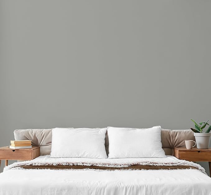 EVOLVE Paint & Primer: Environment-friendly, Low Sheen with One-coat Coverage for Interior & Exterior surfaces (Graphite Gray, 5-Gallon)