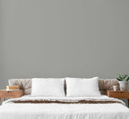 EVOLVE Paint & Primer: Environment-friendly, Low Sheen with One-coat Coverage for Interior & Exterior surfaces (Graphite Gray, 5-Gallon)