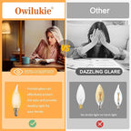 Chandelier Frosted Light Bulbs 4W (40W Equivalent), Candelabra Candle E12 LED Bulb Type B Soft Warm White Color 2700k,Dimmable for Dining Room,Light Fixture,Chandelier,15 Pack