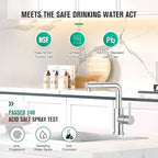 CREA Sink Faucets with Sprayer - Pull Out Bathroom Faucet - Single Hole 1 Handle Bar Faucets for Mini Pre Sink RV Outdoor Laundry Room - Chrome Stainless Steel