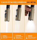 Black and Gold Kitchen Faucet- High Arc Single Handle Stainless Steel Sink Faucet with Pull Down Sprayer- 3 Spray Mode, 1.8 GPM High Flow fit for 1/3 Hole with 10" Deck Plate