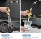AIMADI Gold Kitchen Faucet with Pull Down Sprayer,Commercial Single Handle Brushed Gold Kitchen Sink Faucet with Deck Plate