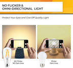 Hizashi Edison Bulb 60 Watt LED, 2700K Dimmable LED Light Bulbs E26 Base, ST19 Vintage Light Bulbs Soft Warm White, 95+CRI, UL Listed,700 Lumens 6W, Clear Glass, Pack of 3