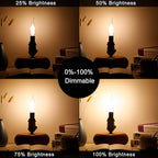 LiteHistory E12 led Bulb Dimmable 6W Equal 60 Watt LED Light Bulbs 2700K AC120V led Edison Bulb CA10 CA11 led Candelabra Bulb for Chandelier Light Bulbs and Ceiling Fan Light Bulbs 600LM Clear 12Pack