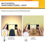 Hizashi Vintage LED Edison Bulb Dimmable, 6W Equivalent 60W, E26 Base Light Bulbs, 2700k Warm White, 700LM, High CRI 95+ Eye Protection, Clear Glass, Pack of 18