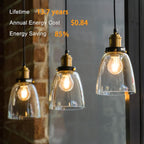 TJOY 12 Pack A19 Vintage LED Edison Bulbs, Dimmable, 60W Equivalent, High Brightness 2700K Warm White, 8W E26 Standard Base, 800 Lumens, CRI80+, Clear Glass Filament Bulb for Home, Farmhouse