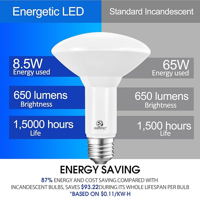 Energetic LED BR30 Flood Light Bulbs Indoor, Daylight 5000K, Dimmable, 65 Watts Recessed Light Bulbs for Cans, 650 Lumen, ETL Listed, 2 Pack
