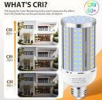 6 Pack 36W Corn LED Light Bulb,(320 Watt Equivalent)Fanless E26/E39 Medium/Large Mogul Base LED Cob Lamp 5000K Daylight 5,400LM for Outdoor Indoor Garage Warehouse Factory Workshop Street Backyard