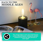 AMDTU Non-dimmable Edison Bulbs 40 Watt 2700K Soft White, Super Thin Spiral Filament Vintage LED Light Bulbs 2 Pack, T45 Incandescent Tubular Bulb 40W Equivalent, Clear Glass 4W 120V E26 Base