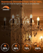 E12 Candle Light Bulbs 25W Warm White 2500K, 250Lumen - B10 Clear Candelabra Base Bulbs Dimmable Chandelier Light Bulbs for Ceiling Fan, Pendants or Outdoor (12 Pack)