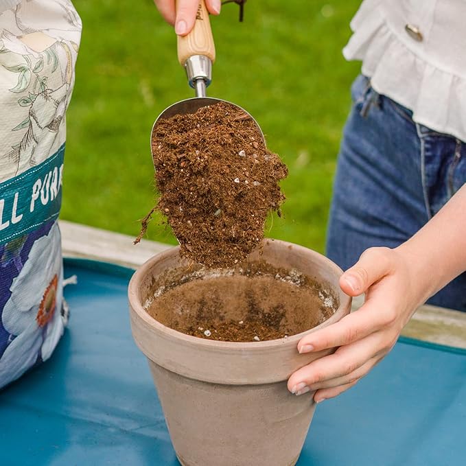 Berry&Bird Garden Loose Soil Scoop, Stainless Steel Hand Shovel Spade with Wood Handle Multi Function Gardening Trowel Spoons for Transplanting, Digging, Planting, Cultivation