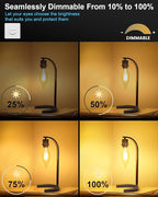 60W Candelabra Light Bulbs, E12 B10 Clear Candle Base Bulb with Warm White 2700K, 600 Lumen Dimmable, 120V Incandescent Chandelier Light Bulbs for Pendants, Ceiling Fan, Wall Sconces (12-Pack)