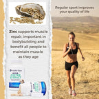 Oyster Extract - Pure, Highly Concentrated Supplement for Men & Women – Supports Energy & Immune Boost; Zinc, Taurine, Amino Acids, and Vitamins, 500 mg, 60 Veg Capsules, Made in USA