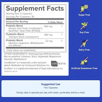 Gundry MD® Bio Complete 3, 3-in-1 Probiotics for Gut Health, Probiotic Supplements for Digestion, Supplement Supporting Bloating, Gas, Food Cravings, Energy Levels, Skin, and Focus, 30 Day Supply