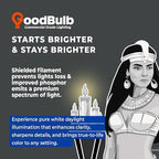 GoodBulb 13 Watt CFL Light Bulbs 2 Pin GX23 Base 5000K Daylight 13W High Output 800 Lumens Single Tube Compact Fluorescent Light Bulbs Plug-in 10 Pack