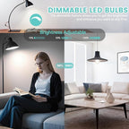 Brightever Dimmable LED Light Bulbs 60W Equivalent, 4000K Neutral White Edison Light Bulb, 7W, 850LM Vintage E26 Base Bulb, 90+CRI, ST58 Clear Glass Antique LED Filament Bulbs for Bathroom, 6-Pack