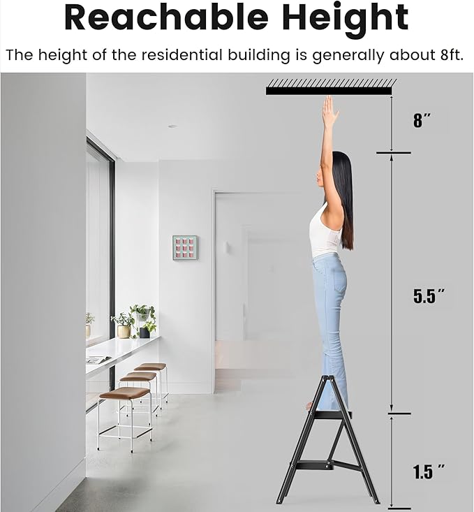 Step Stool, 2 Step Ladder with Anti-Slip and Wide Pedal, Folding Portable Iron Stepladder for Home and Kitchen, 300lbs - Black