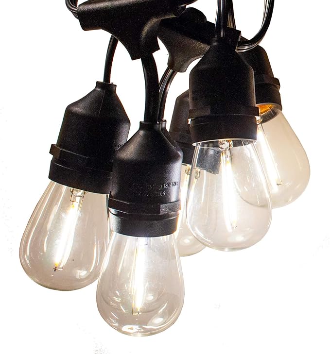 Hometown Evolution, Inc. 24 Foot E26 LED Outdoor Commercial String Lights with 12 Suspended Sockets and S14 LED Filament 1 Watt Bulbs