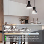 Consciot A19 LED Light Bulbs Dimmable,60W Equivalent,5000K Daylight White,9W 800 Lumens,E26 Standard Base,UL Listed,Lighting for Bedroom Living Room Home Office,5 Packs