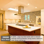 Halogen PAR30 Long Neck 39W 120V 400LM, 6 Pack High Output Halogen PAR30 Dimmable 2800K Warm White, E26 Long Lifespan Long Neck Flood Light Bulb with CRI100 for Recessed, Tracking Lighting