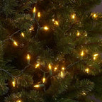 Novelty Lights 11 Feet 50 Bulbs Traditional Incandescent Mini Lights, Yellow on Green Wire with 2.5" Spacing, Commercial Grade and UL Listed for Indoor/Outdoor Use, End-to-End Connectable
