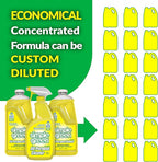 Simple Green All Purpose Cleaner Spray and Refill, Green, 3 Piece Set, 1 Count (Lemon)