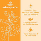 ORGANIC INDIA Ashwagandha Capsules - Organic Ashwagandha Supplement - Vegan Ashwagandha Root, Gluten-Free, Kosher, Non-GMO, Supports Stress Relief, Energy, and Sleep - 180 Capsules