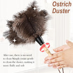 Ostrich Feather Duster 14" Natural Handheld Reusable Feathers Dusters with Wooden Handle for Cleaning Supplies Home Car Office(10PCS)