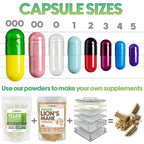 XPRS Nutra Size 00 Separated Capsules - 1000 Count Gelatin Empty Capsules Separated in Bags - Empty Capsules- Separated Empty 00 Capsules- Pill Capsules Empty for DIY Supplement Filling (Blue/White)