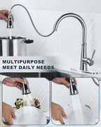 ALEASHA Pull Down Spray Head for Kitchen Faucet,3-Function Sink Spray Nozzle with 9 Adapters,Kitchen Faucet Head Replacement Compatible with Moen,American Standard Faucets,Brushed Nickel